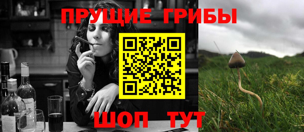 Челябинск  Псилоцибиновые грибы мицелий  Вход с VPN 